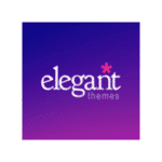 Divi theme offers