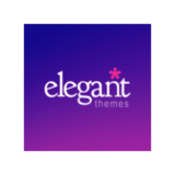 Divi theme offers