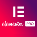 elementor pro offer